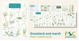 FSC Chart Phase1 Grassland and Marsh