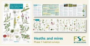 FSC Chart Phase 1 Heath and Mires