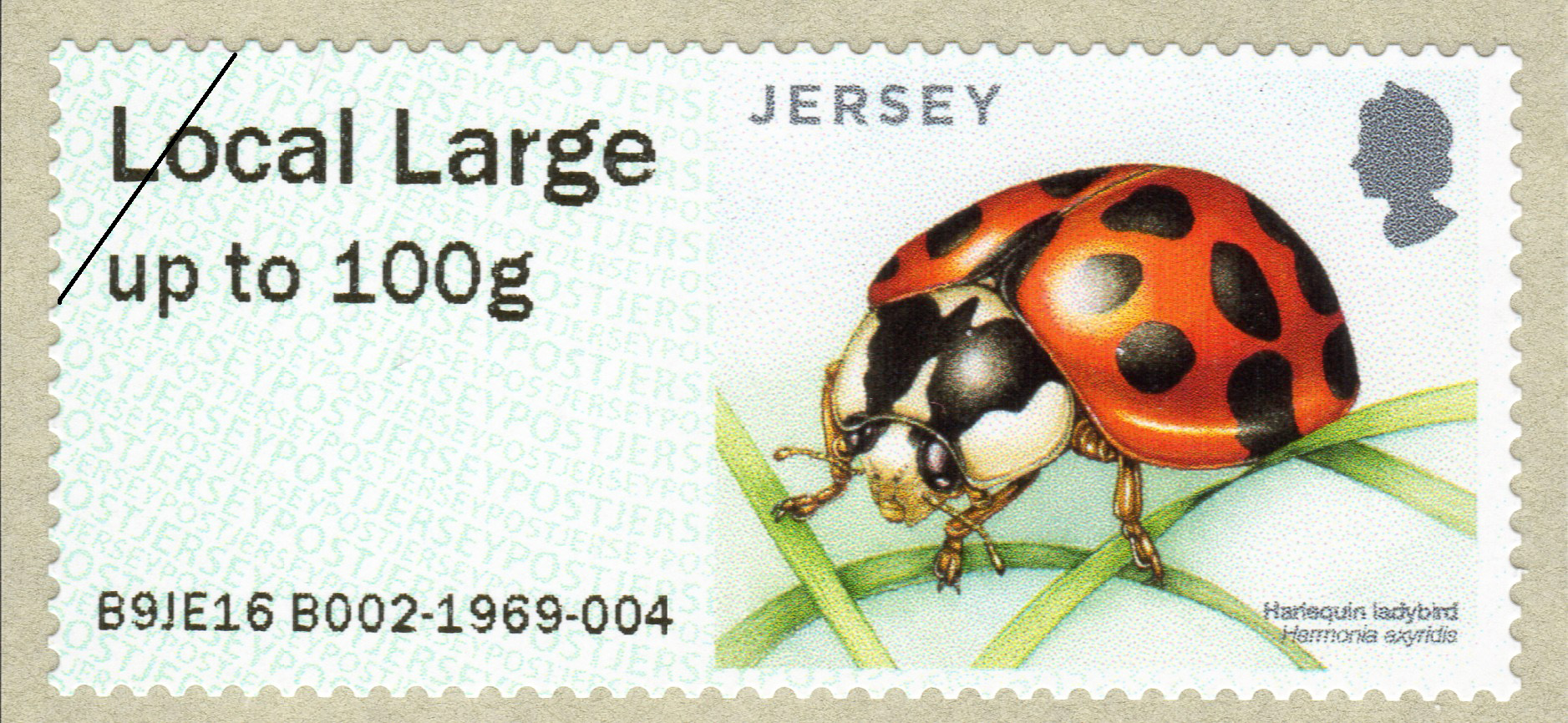 Jersey Post Beetles