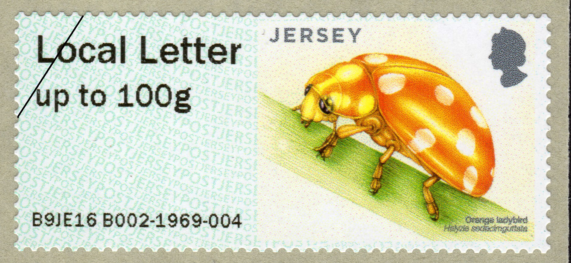 Jersey Post Beetles