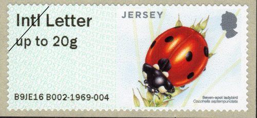 Jersey Post Beetles