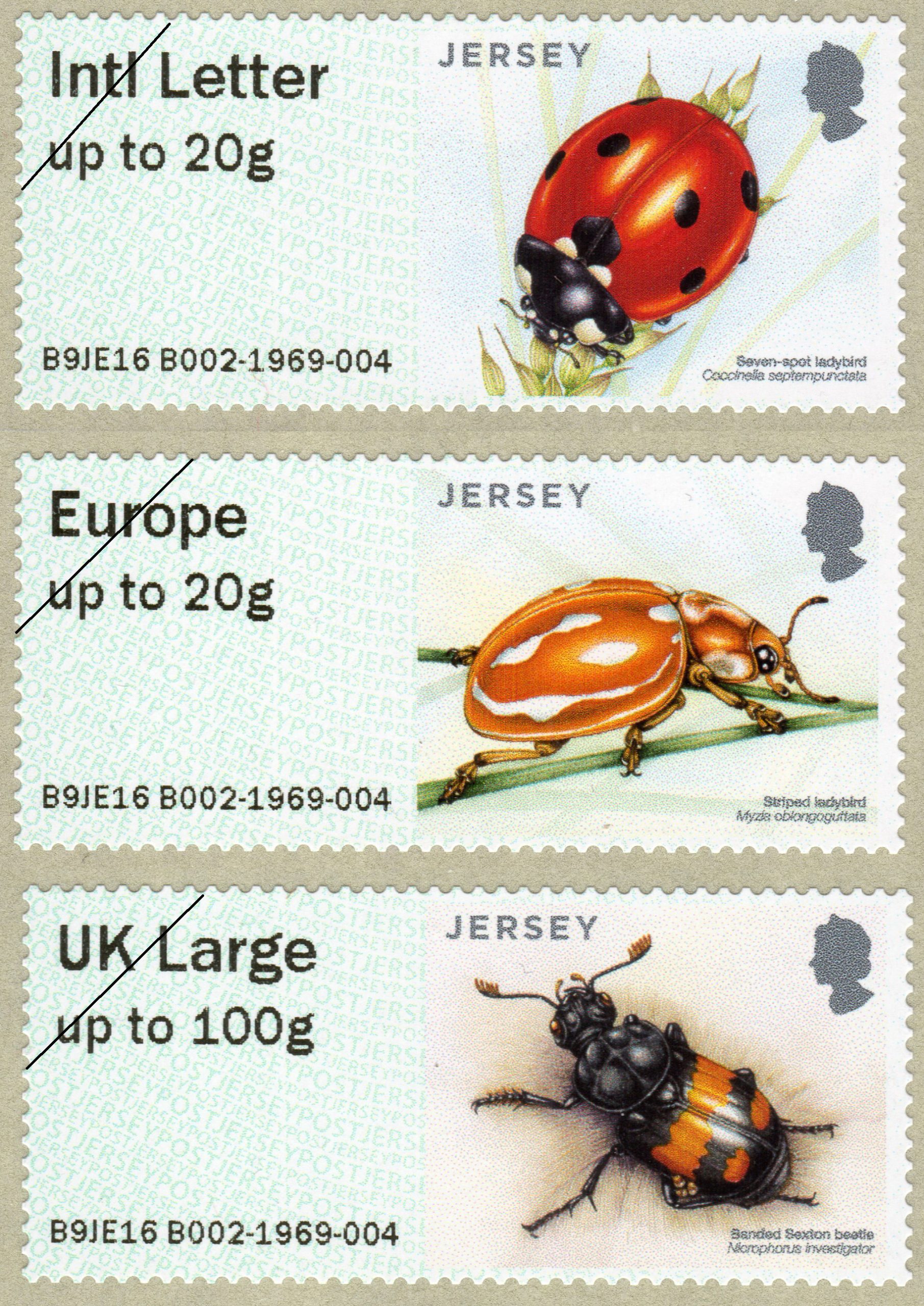 Jersey Post Beetles