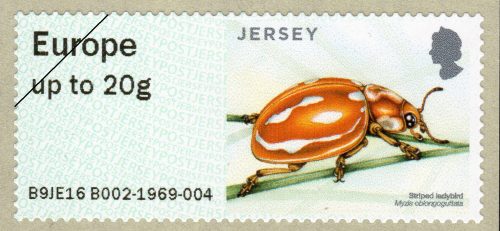 Jersey Post Beetles