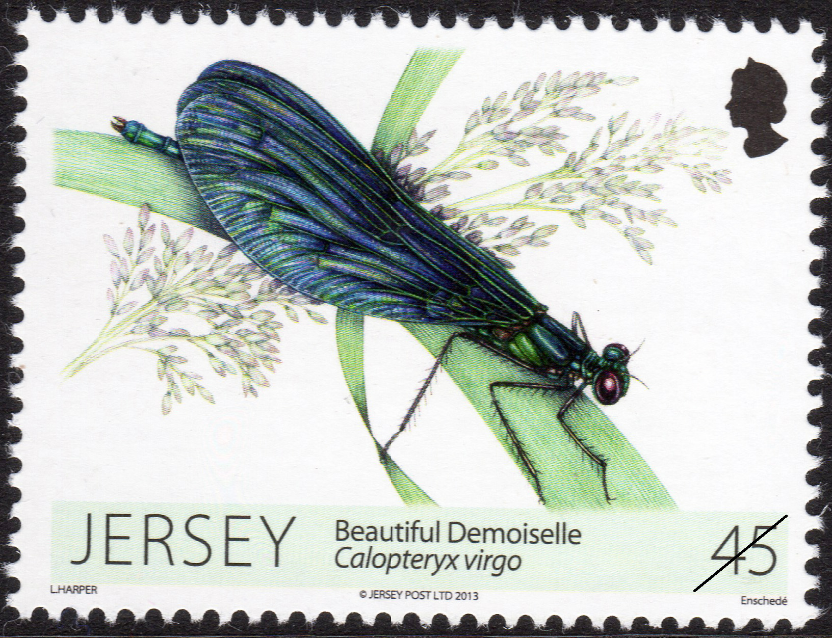 Jersey Post dragonflies