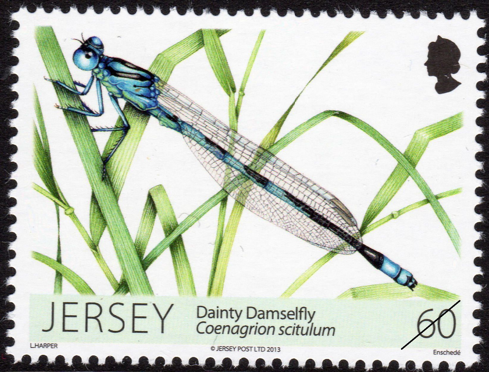 Jersey Post dragonflies