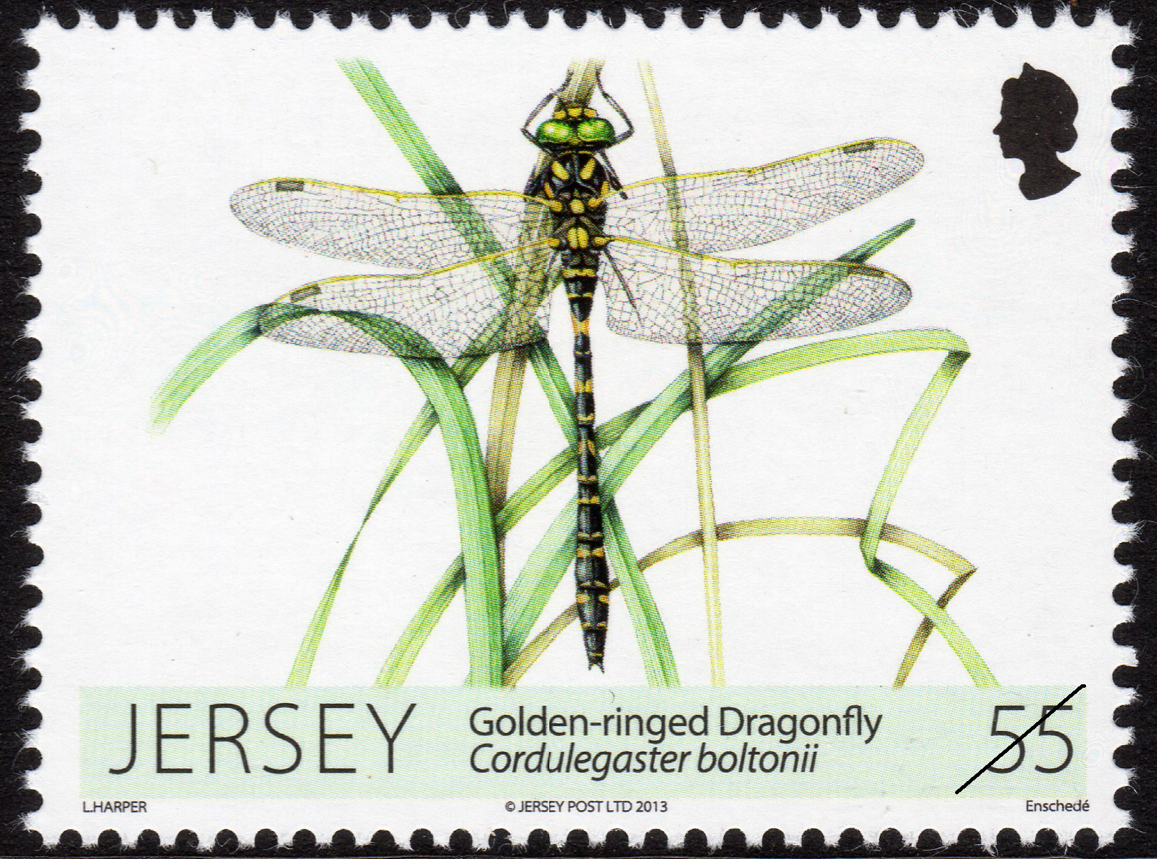 Jersey Post dragonflies