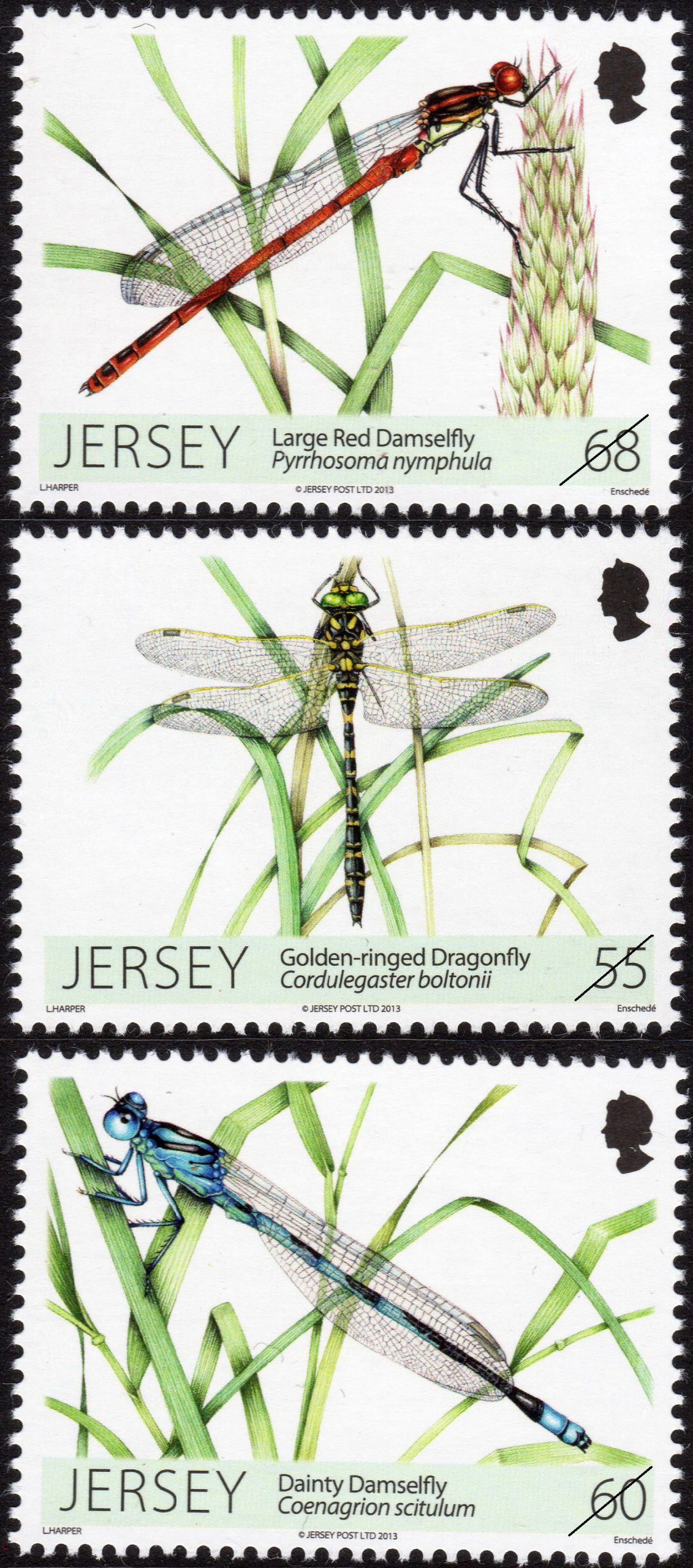 Jersey Post dragonflies