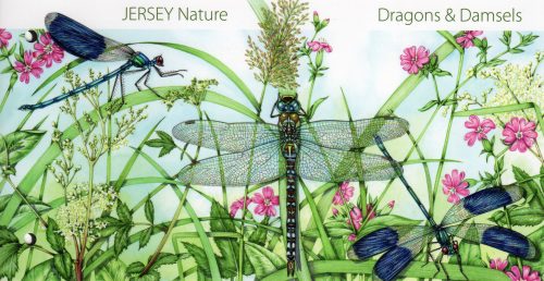 Jersey Post dragonflies