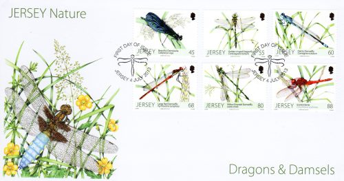 Jersey post dragonflies