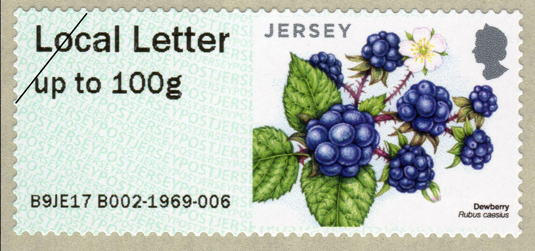 Jersey post fruits and berries