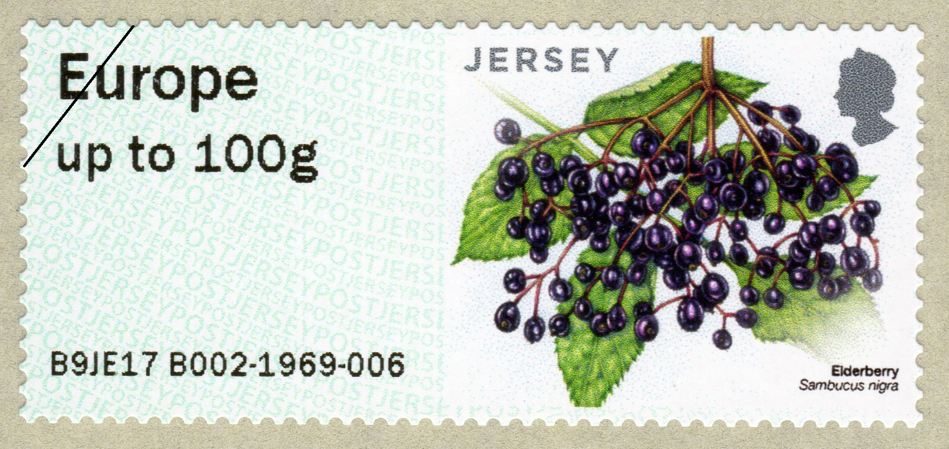 Jersey post fruits and berries