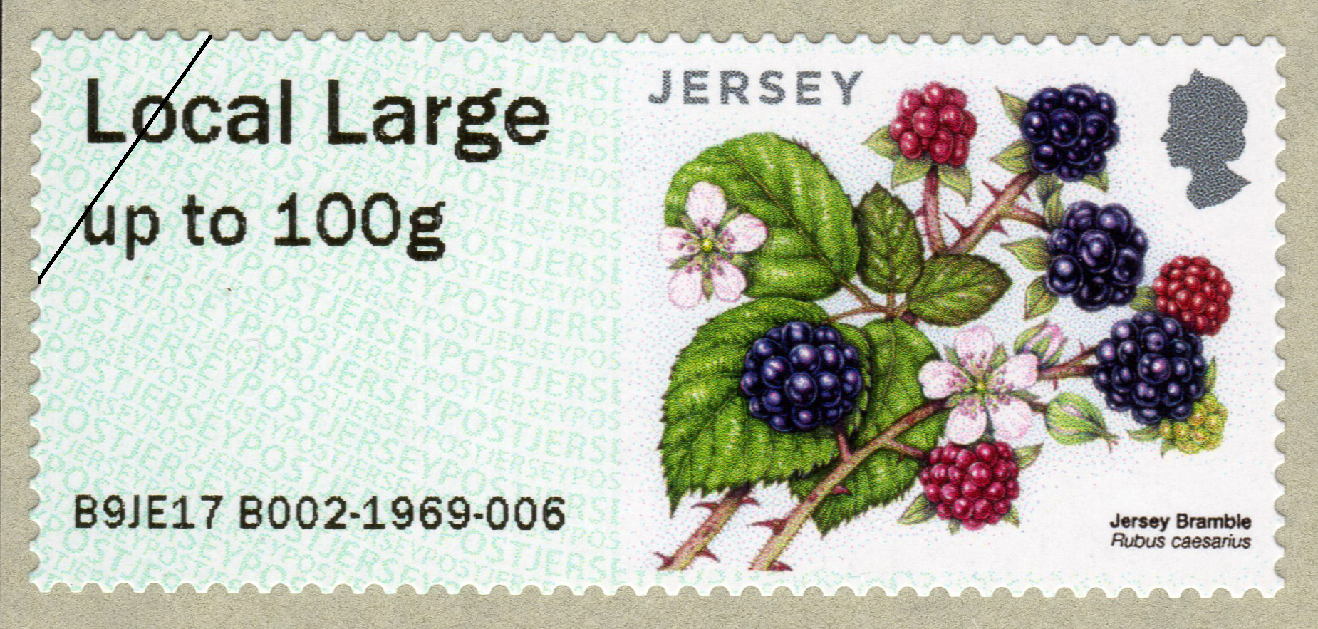 Jersey post fruits and berries