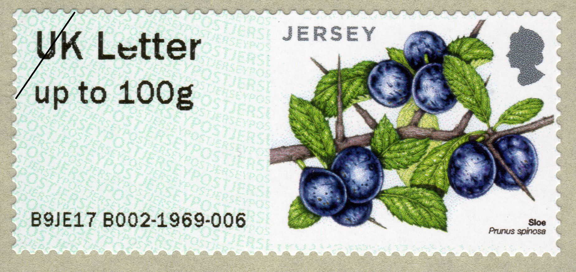 Jersey post fruits and berries