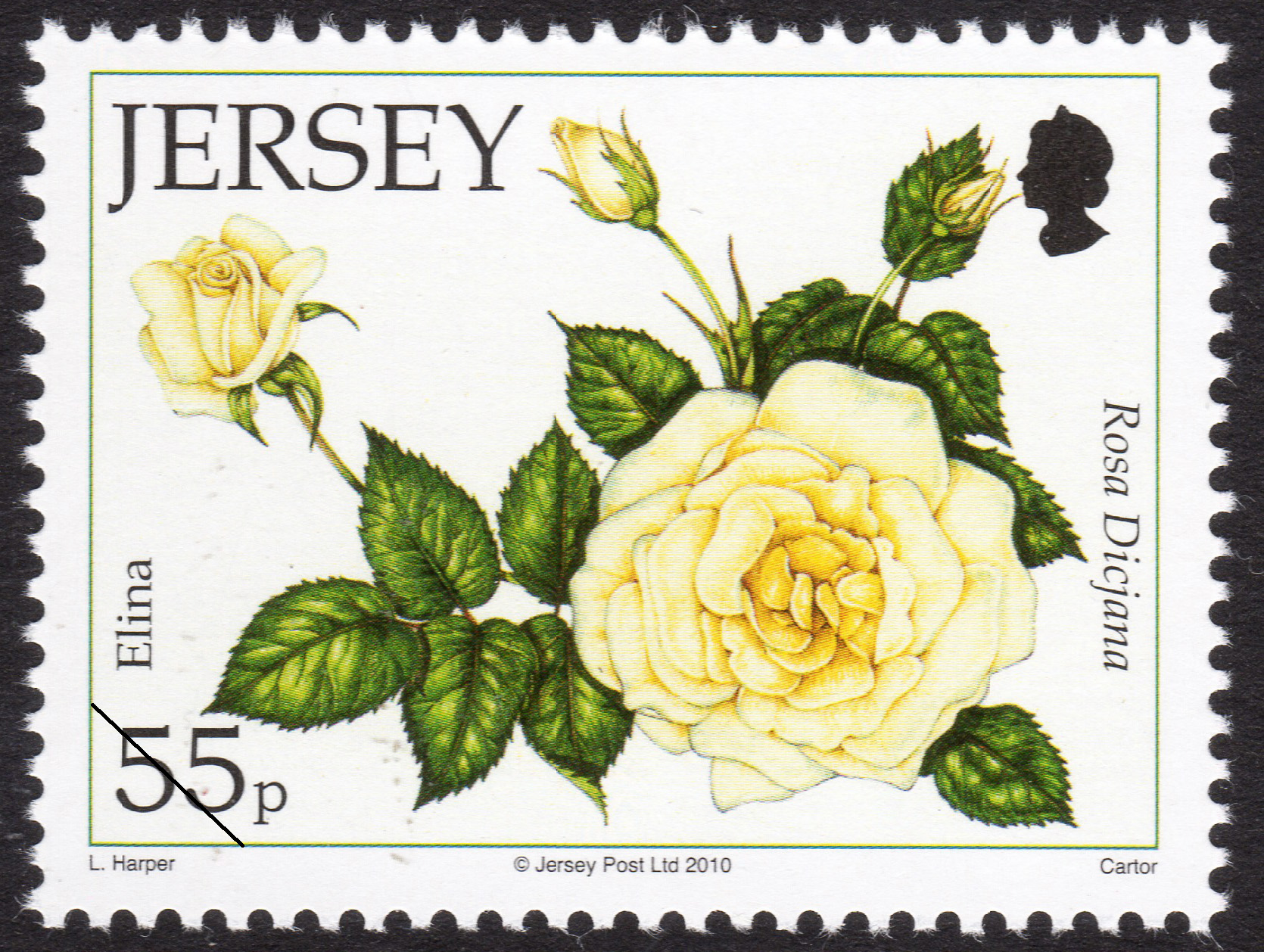 Jersey Post Roses
