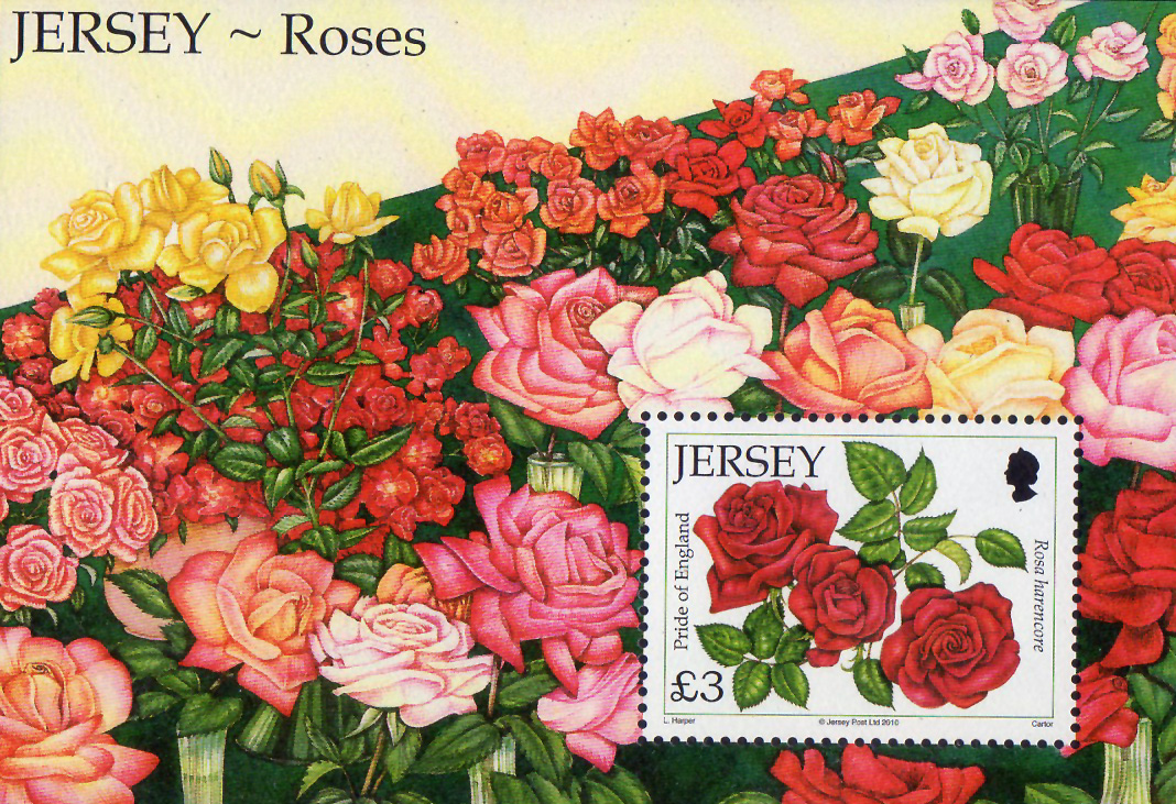 Jersey Post Roses