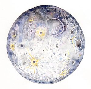 Moon natural history illustration