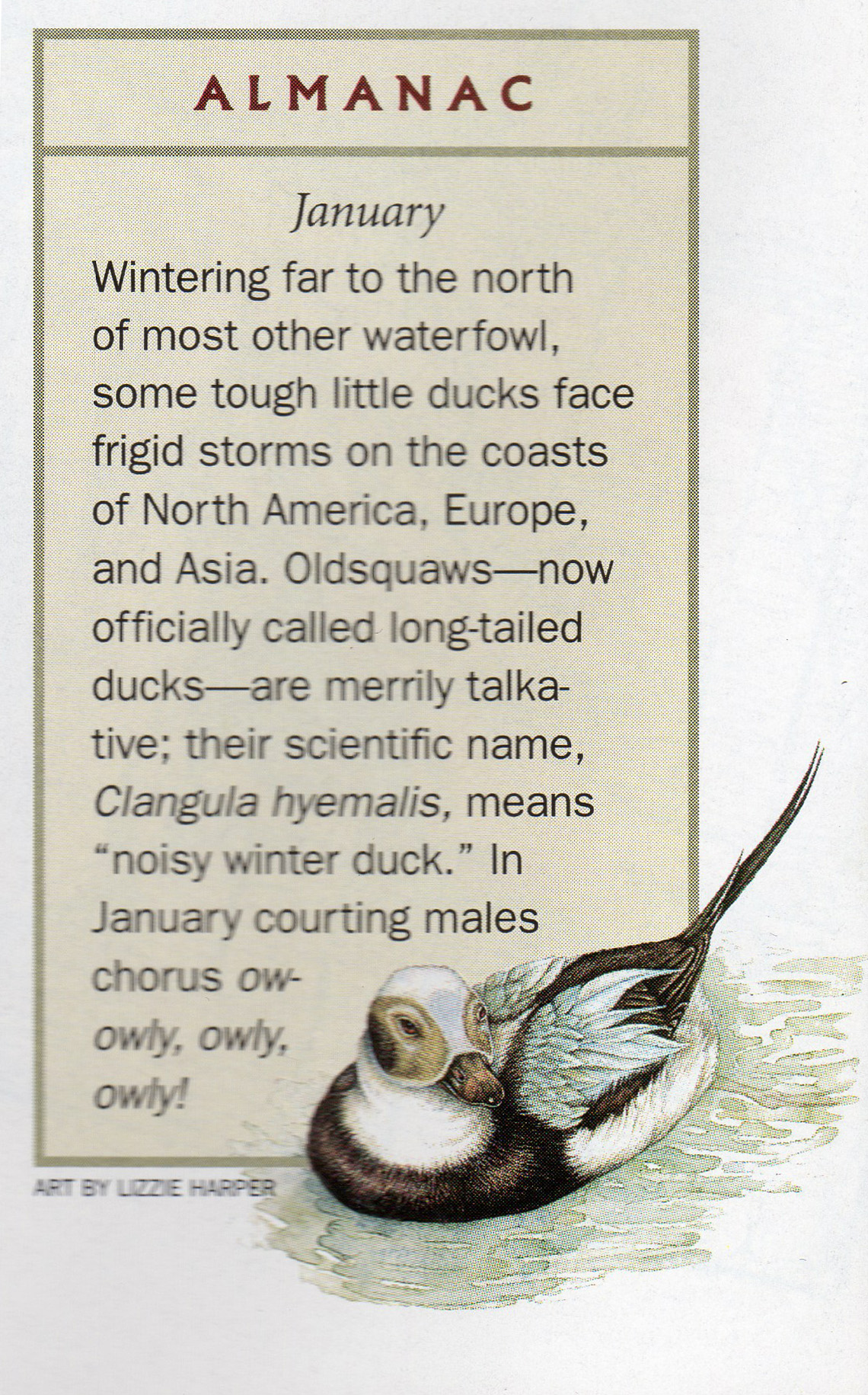 National Geographic Magazine