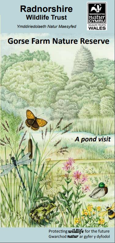 RWT Nature reserve leaflets Gorse Farm pond duck butterfly - Lizzie Harper