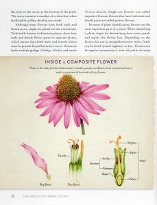 Rodales 21st century herbal