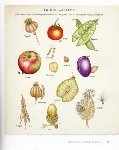 Rodales 21st century herbal