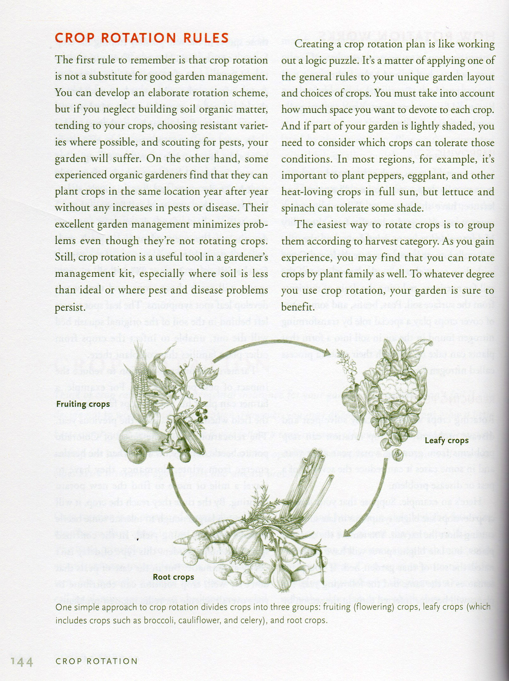 Rodales Vegetable Garden Problem Solver crop rotation - Lizzie Harper