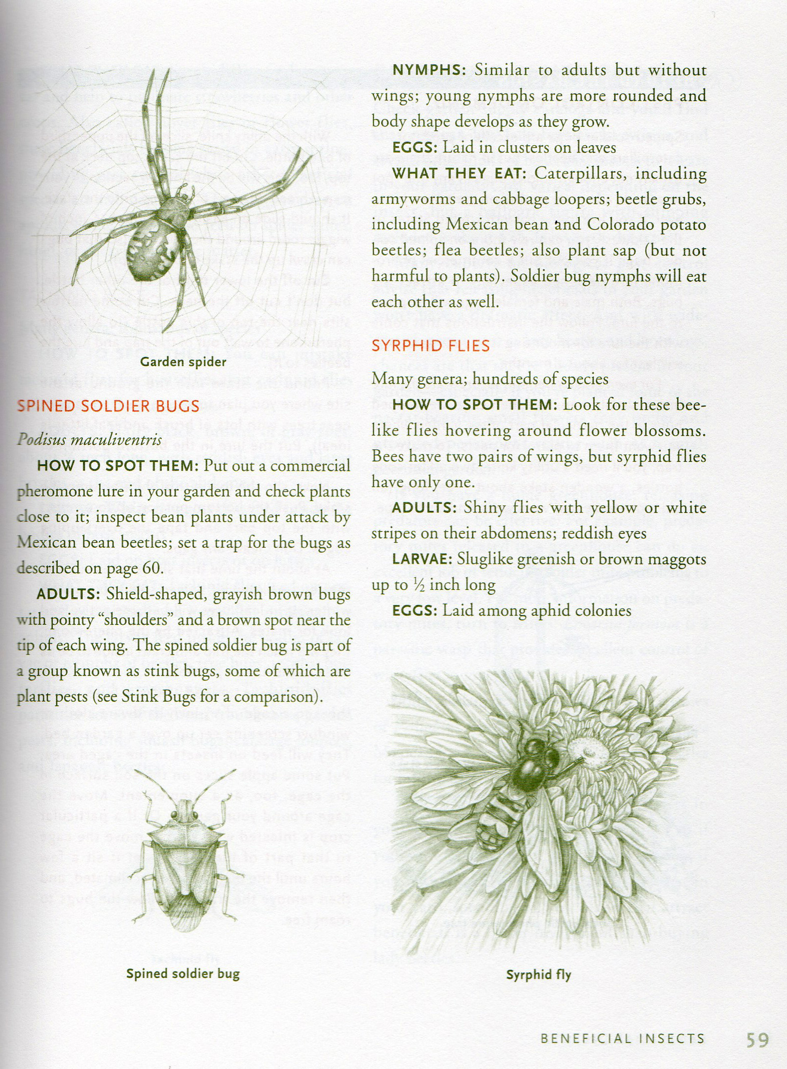 Vegetable Garden Problem Solver