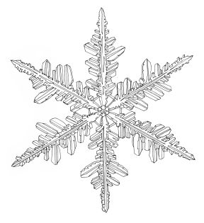 Snowflake 1