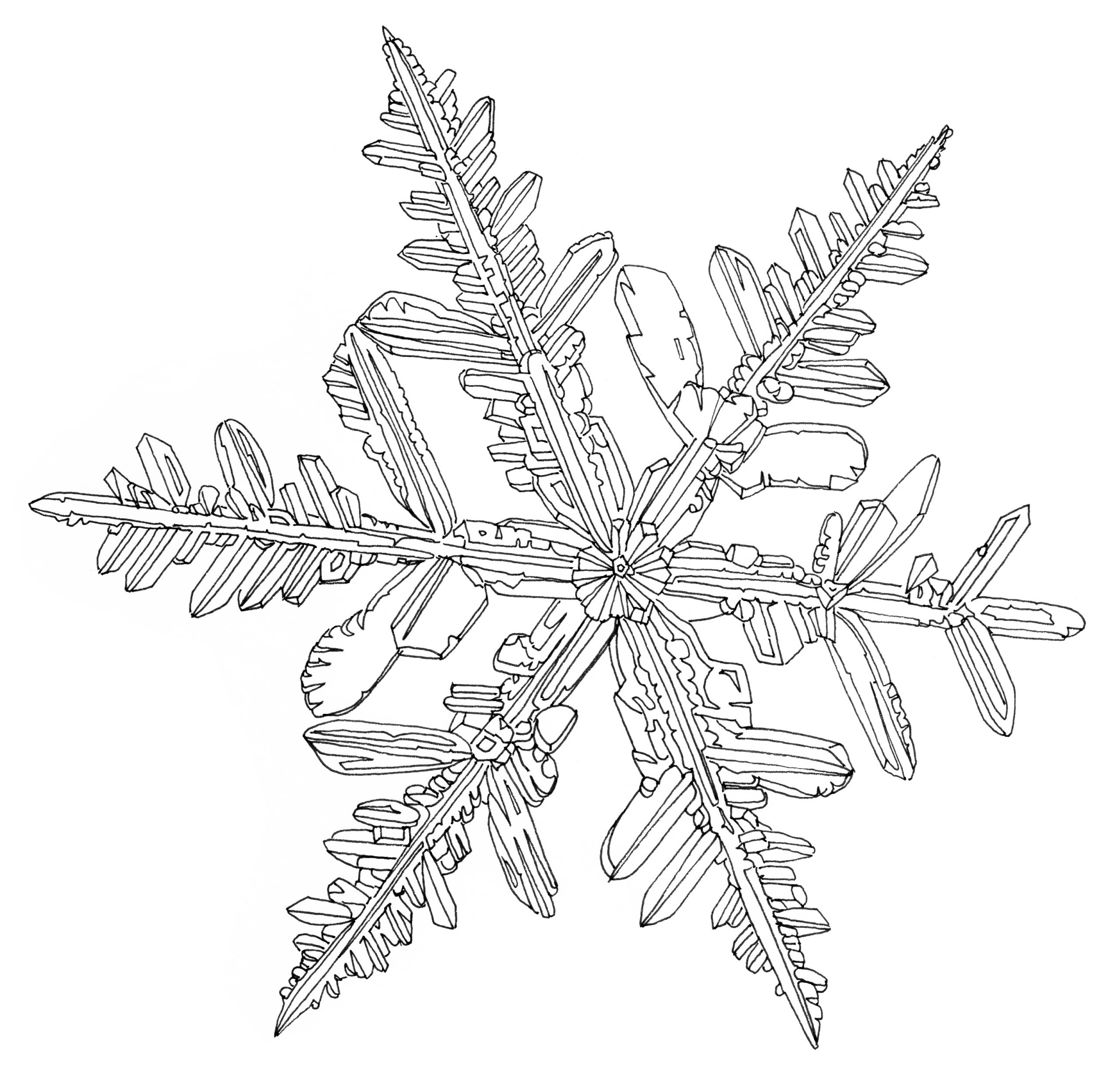 snowflake