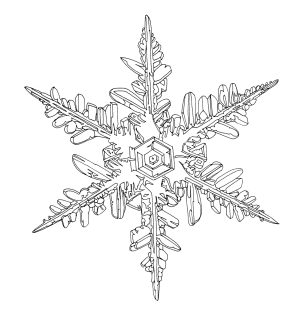Snowflake 3