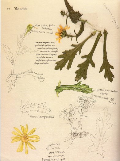 The Watercolor Artists Flower Handbook