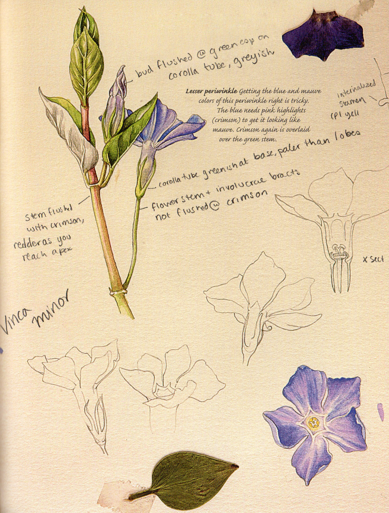 The Watercolor Artists Flower Handbook