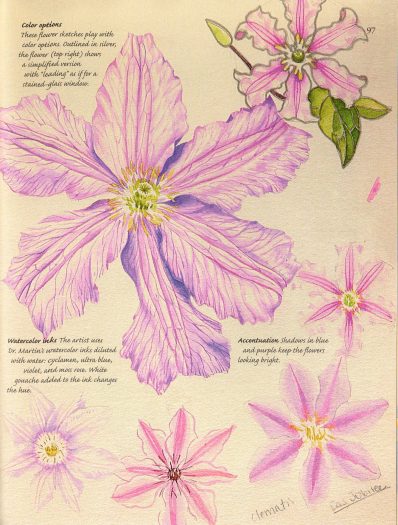The Watercolor Artists Flower Handbook