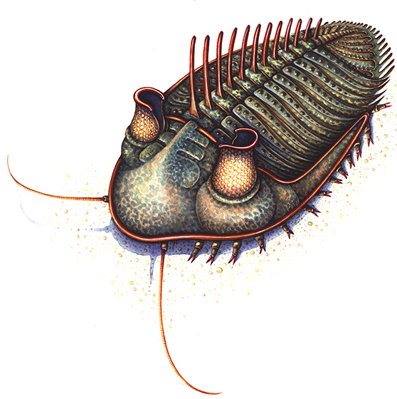 National Geographic Magazine