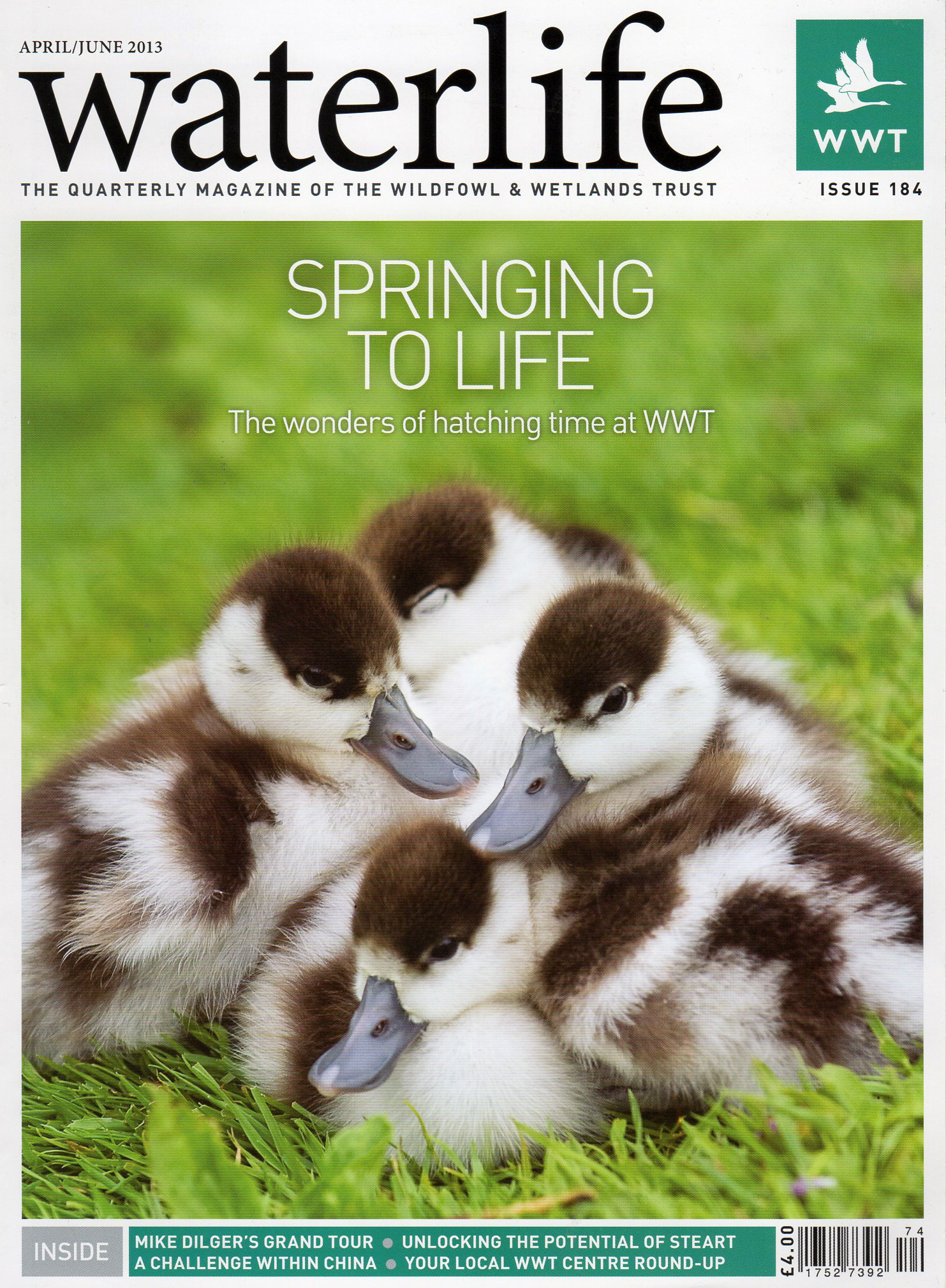 Waterlife Magazine