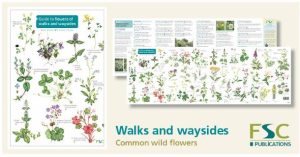 FSC Flowers of Walks and Waysides chart
