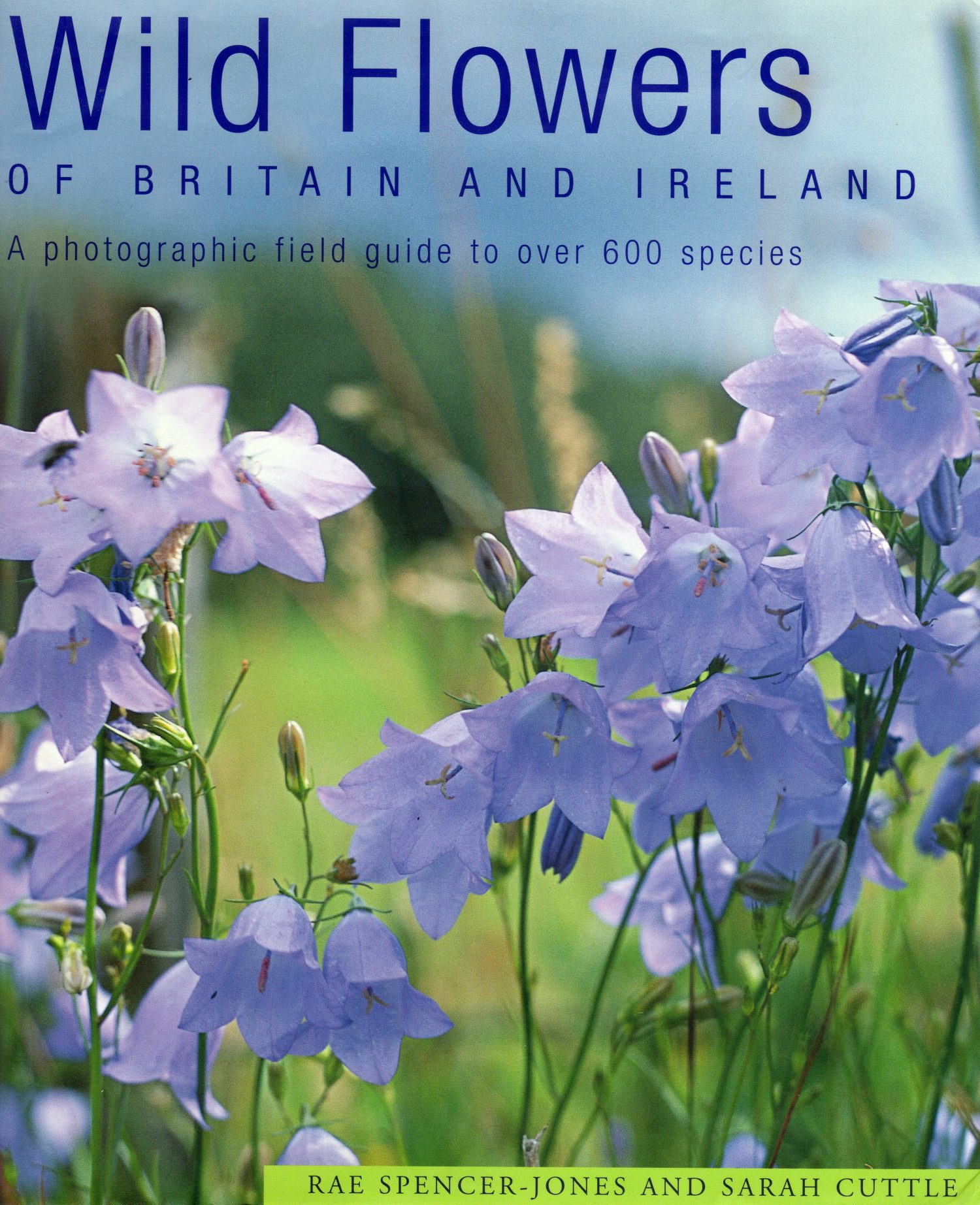 Wild Flowers of Britain and Ireland by Rae Spencer Jones & Sarah Cuttle