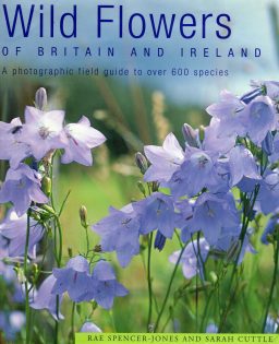 Wild Flowers of Britain and Ireland by Rae Spencer Jones & Sarah Cuttle