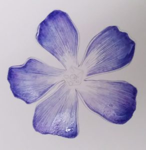 Top wash being allowed to dry on the Periwinkle illustration