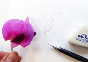 Set up with flower and pencil