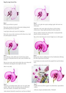 Sweet pea step by step handout