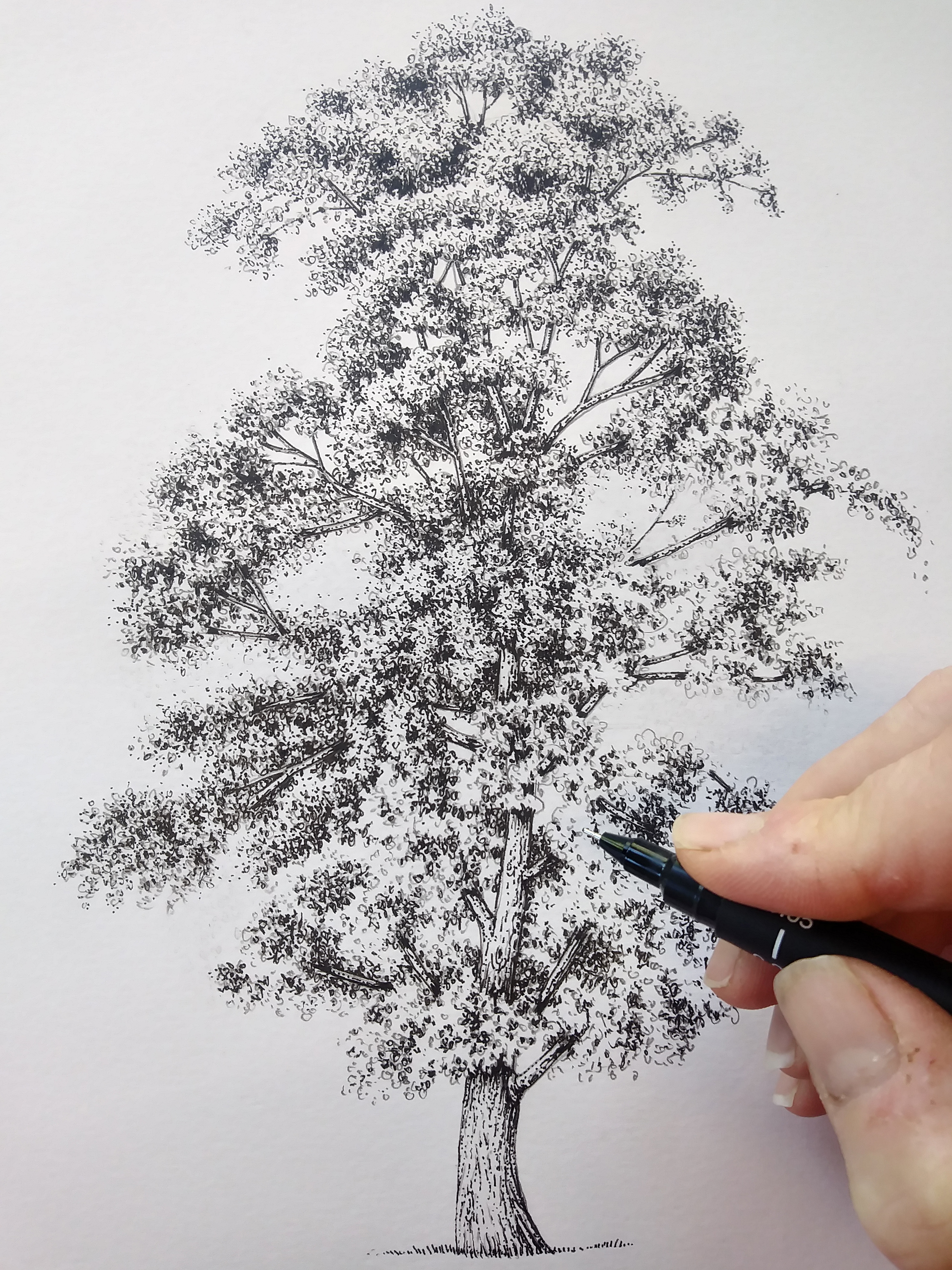 Дерево черно белый рисунок реалистичный. Нарисовать дерево. See three tree pen. See three tree pen. Дерево 3d ручкой.