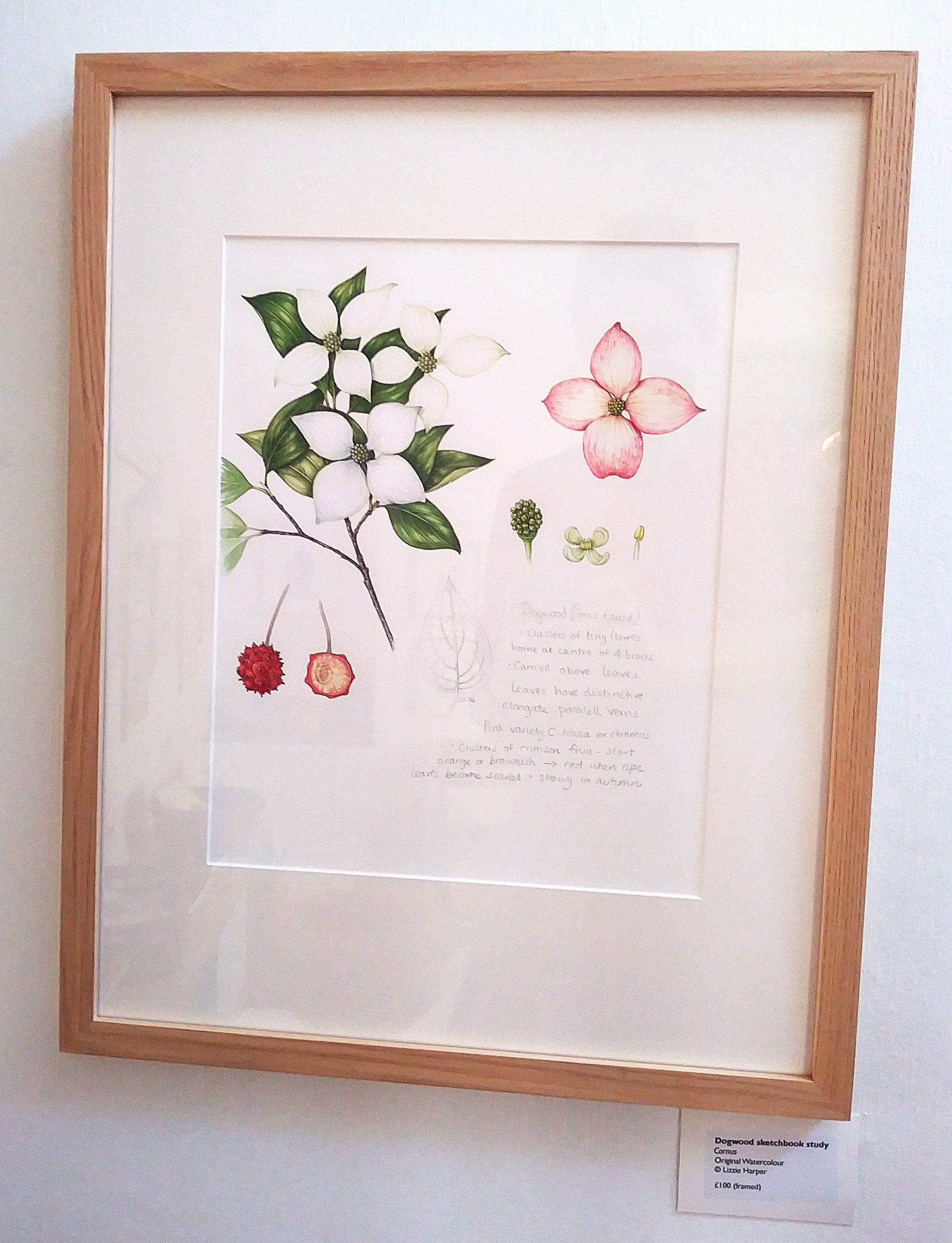 Framed Original Sketchbook Illustrations Archives - Lizzie Harper