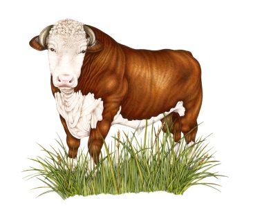 Copyright Spot Farms 2018