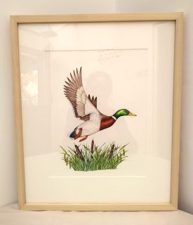 Original artwork illustrations for sale