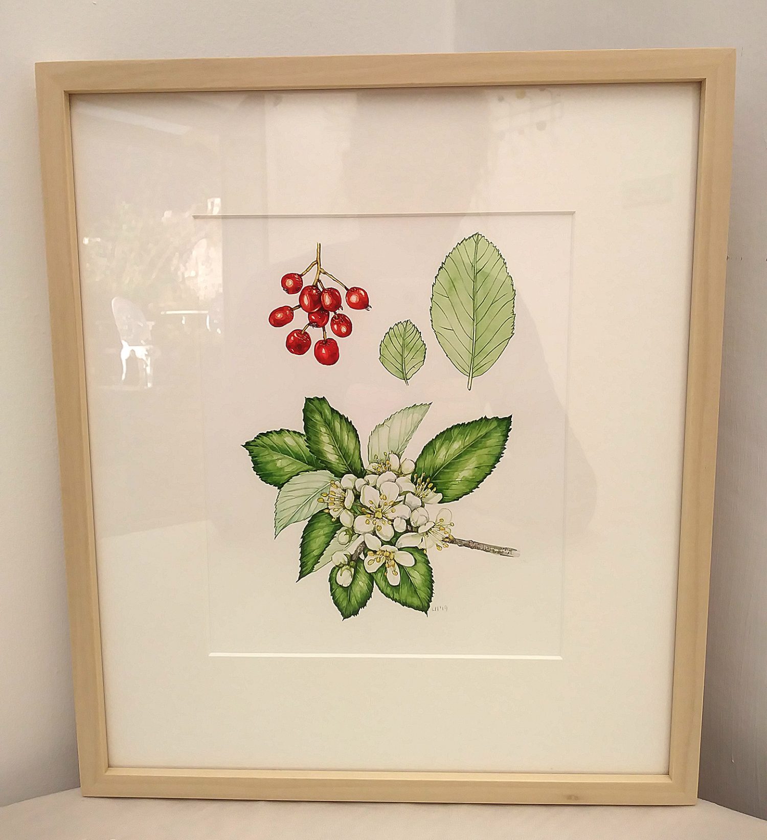 Stirtons Hornbeam Lizzie Harper original framed watercolour ...