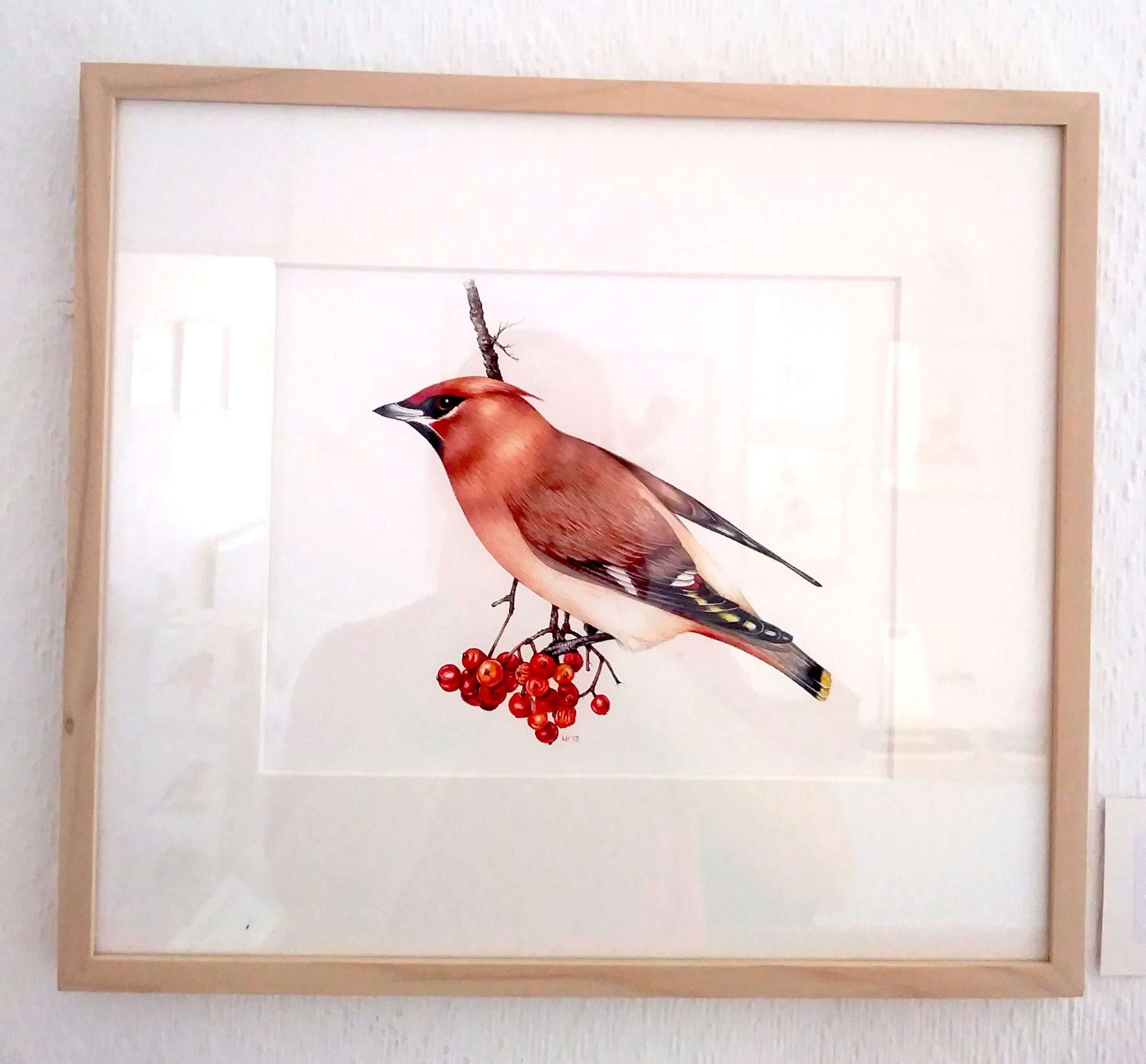 waxwing