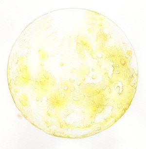 Moon / Sphagnum tenellum pencil rough