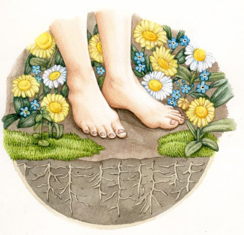 Feet int the garden original watercolour illustration for sale