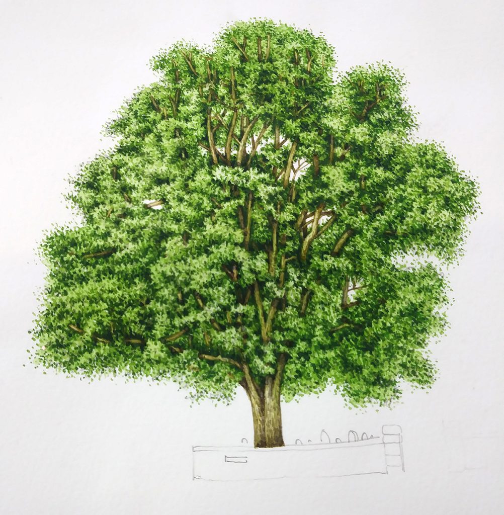 Sycamore Tree step by step - Lizzie Harper