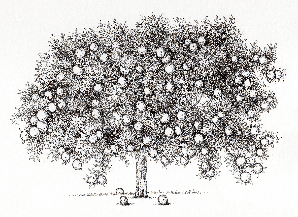 Living Wisdom of Trees